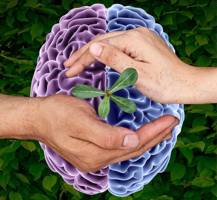 WhatsApp Image 2026-04-11 at 00.52.17