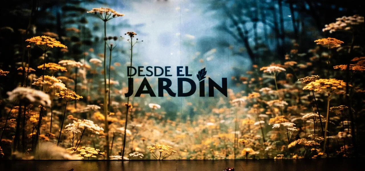 WhatsApp Image 2026-04-11 at 00.19.41